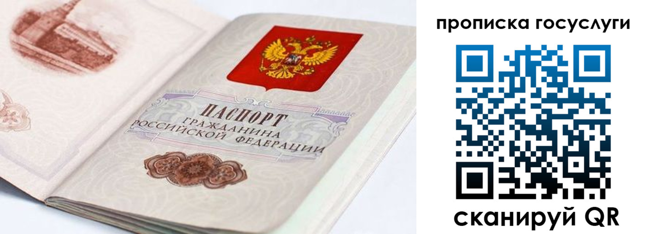 прописка регистрация в Сольцах